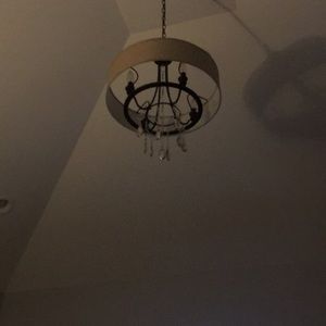 Meet your Posher, Ronnie